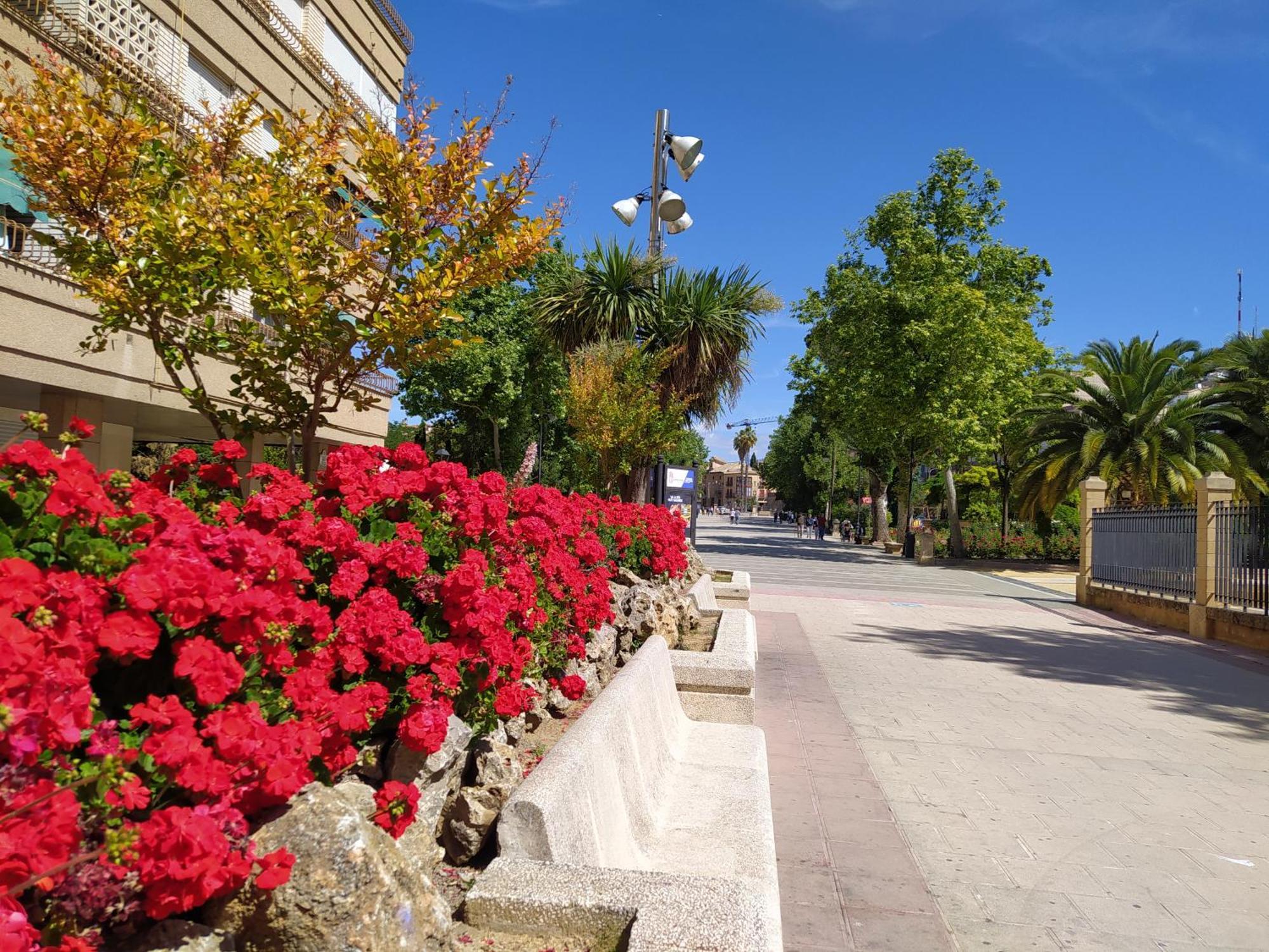 Alojamiento Los Alamos Alcalá la Real Extérieur photo